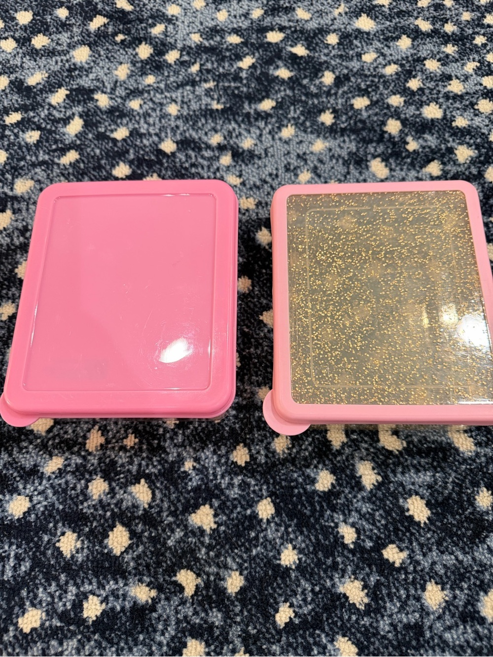 Pottery Barn Lunch Containers